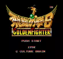 Image n° 1 - screenshots  : Hiryuu no Ken S - Golden Fighter